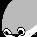 原来这玩意叫萨卡班甲鱼，我一直叫马萨卡鱼 ​​​