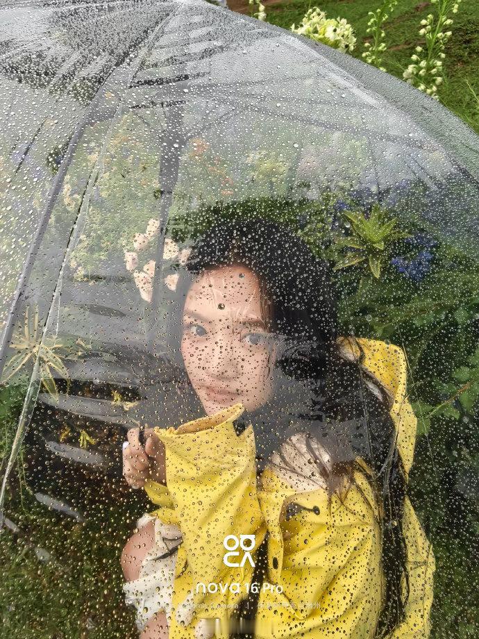 任敏是自由的风是活泼的雨 她笑的时候像风吹开了阴天，她跑的时候像雨洒在了干涸的地