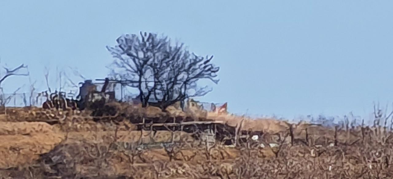 山顶上那几株树
     是什么树呢？是山顶的一道风景线。