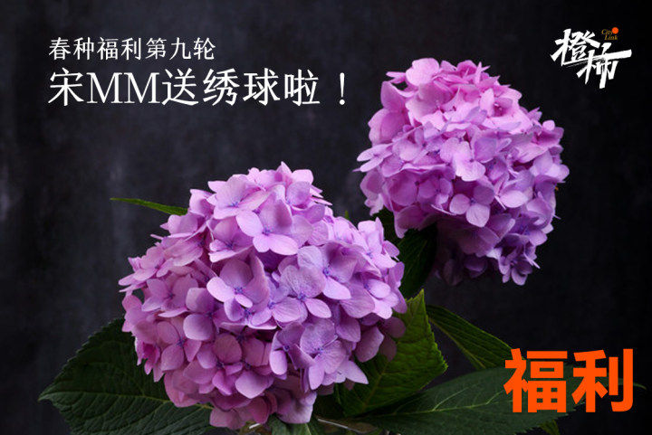 来橙友圈晒#5月早餐#，分享你的早餐哲学，送童年经典零食小当家干脆面丨橙柿福利