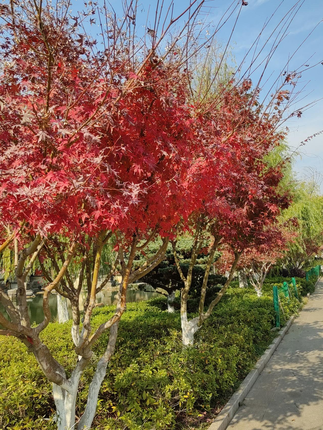 生前不看望老人,去世后却大操大办，这难道就是所谓的“孝道”吗？

   近日，我