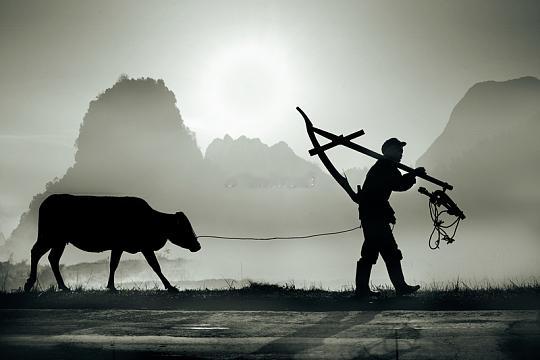 我买股基本看K线基本是先考虑第二天，A股上涨趋势就不多说什么了，现阶段A股下跌趋