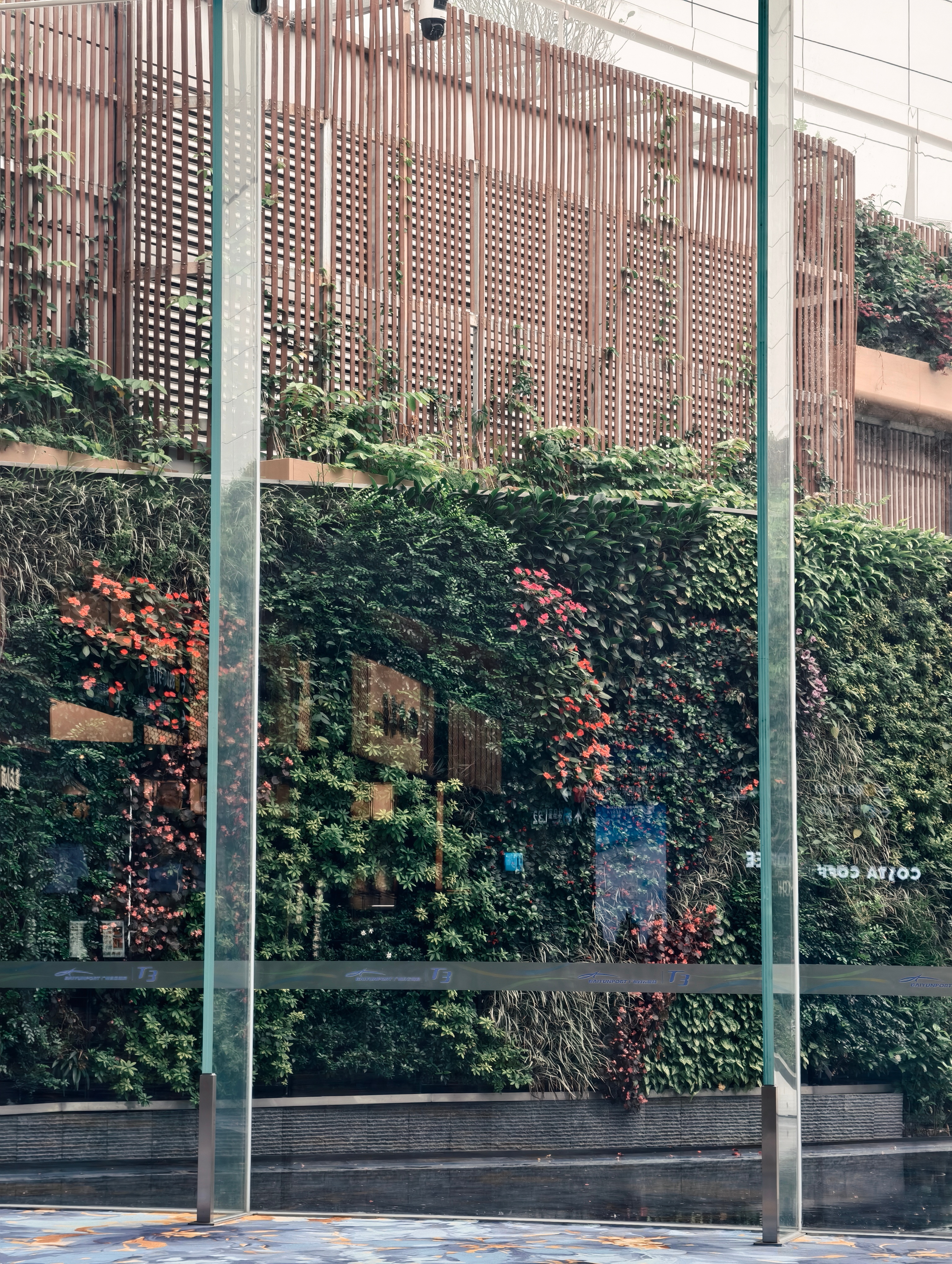 第一次飞白云T3，整洁有序很有岭南特色，甚至休息室都有肠粉、鸡仔饼。大地毯是漂亮