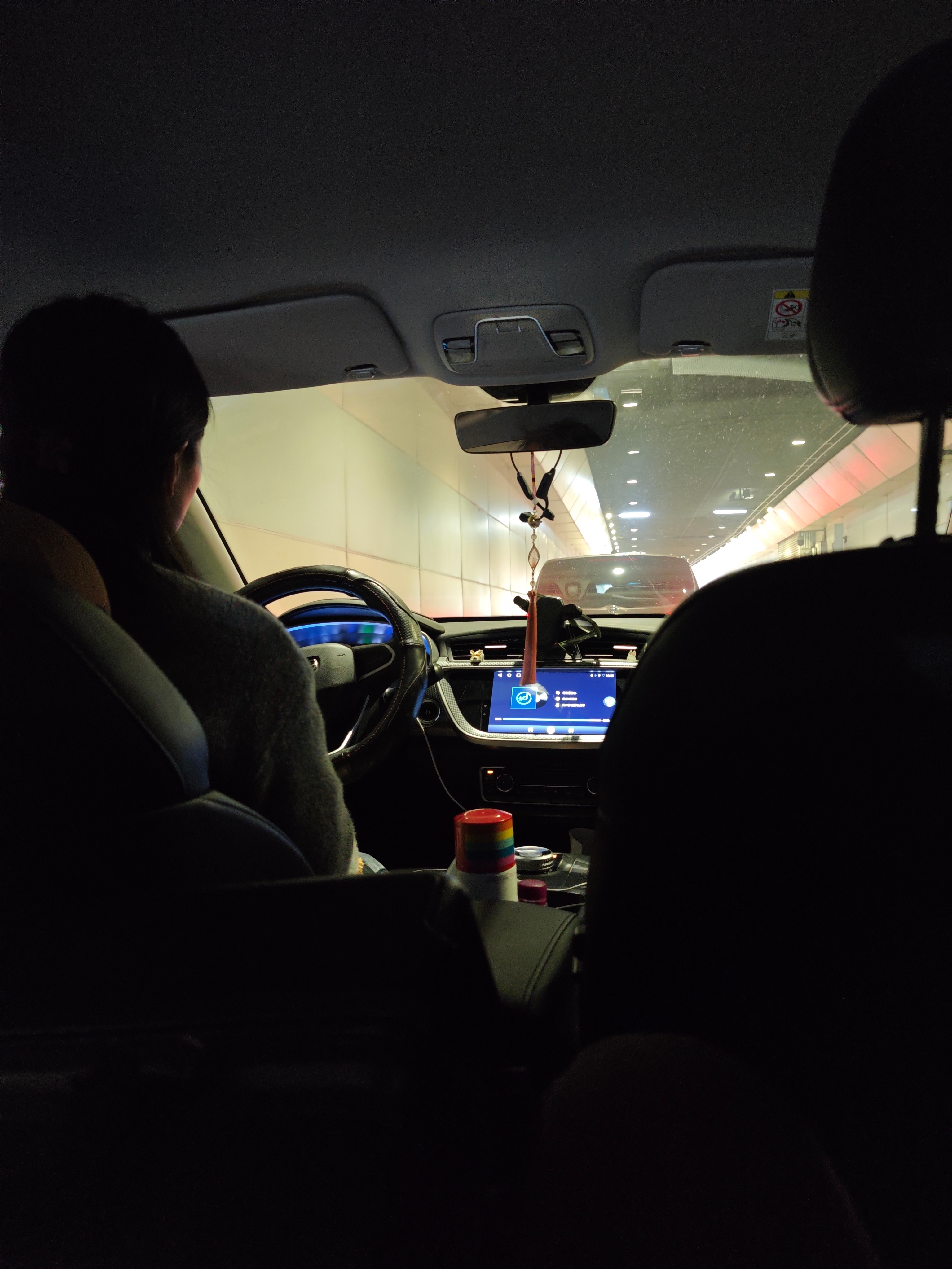 事实证明女司机的车不管是哪一款都是干净整洁没有异味的，所以和车没关系，和是不是网