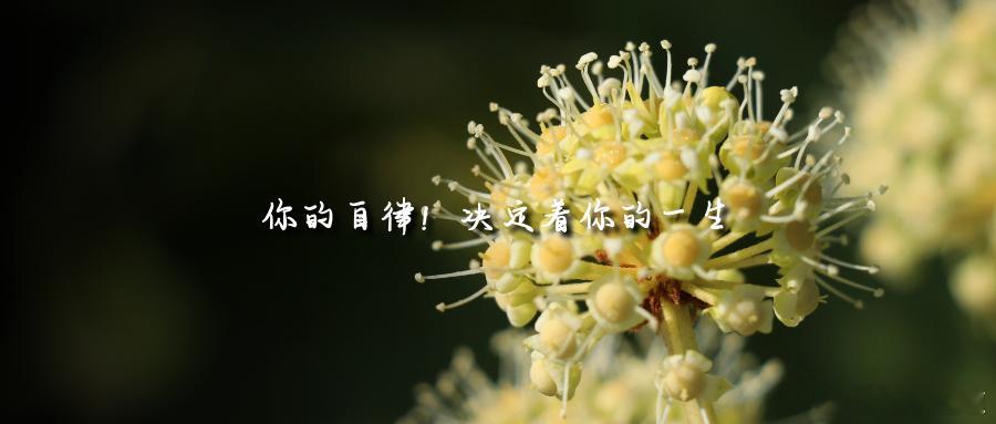 你的自律！决定着你的一生胸中藏有大志的人，往往是一个很自律的人。自律的人，既可怕