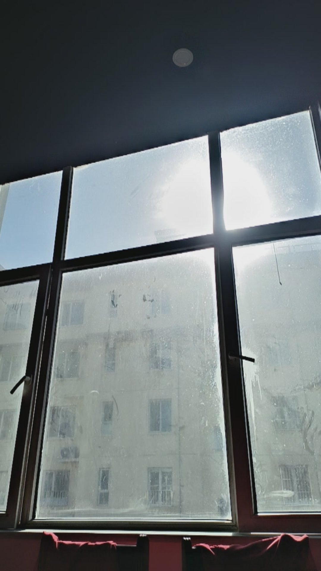 中午了，今天天气挺好的，在太阳底下晒的我睡着了。