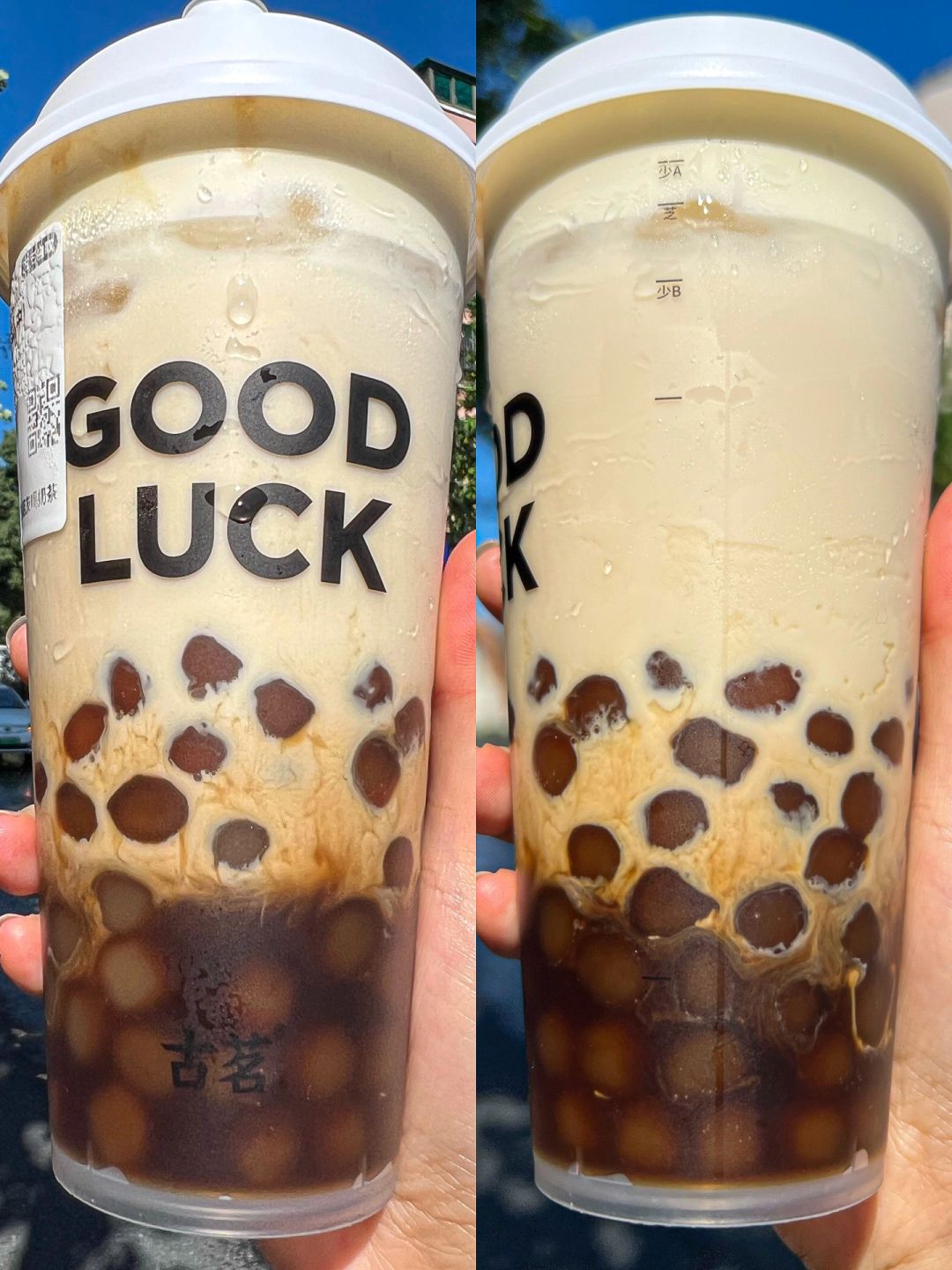 古茗这杯黑糖珍珠在秋冬根本没有对手！！！