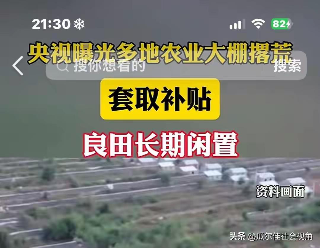 这明显就是为了骗国家补贴的！一是骗取国家惠农启动资金，让国家投入大量资金建大棚；