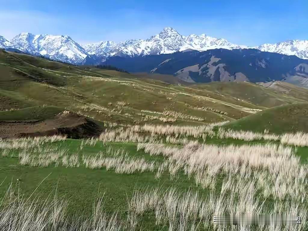 五一大假时间不多的可以走个两天小环线，串联地球裂痕安集海大峡谷、雪山草原鹿角湾，