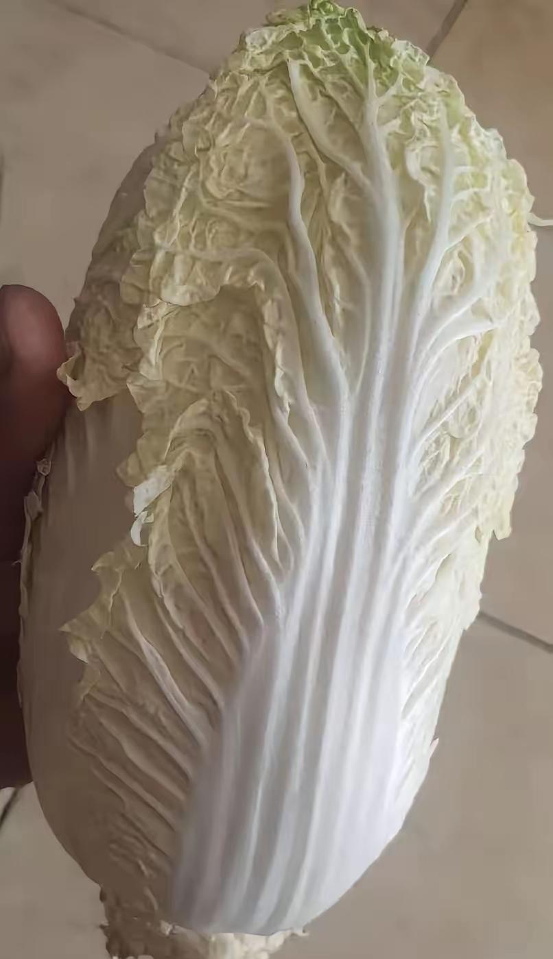 康保县的“甲醛白菜上了热门，我却高兴不起来，食品安全无小事

甲醛对身体的危害太