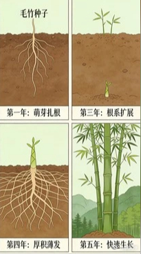 高山杜鹃生长近20年才开花树高几十米种子却比芝麻还小  竹子或许是植物界最沉得住