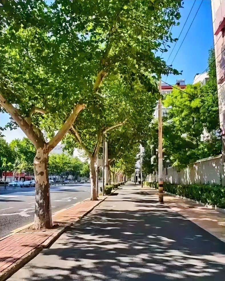 提前通知，提醒大家做好心理准备，3天后，也就是8月7号晚上19点43分就正式立秋