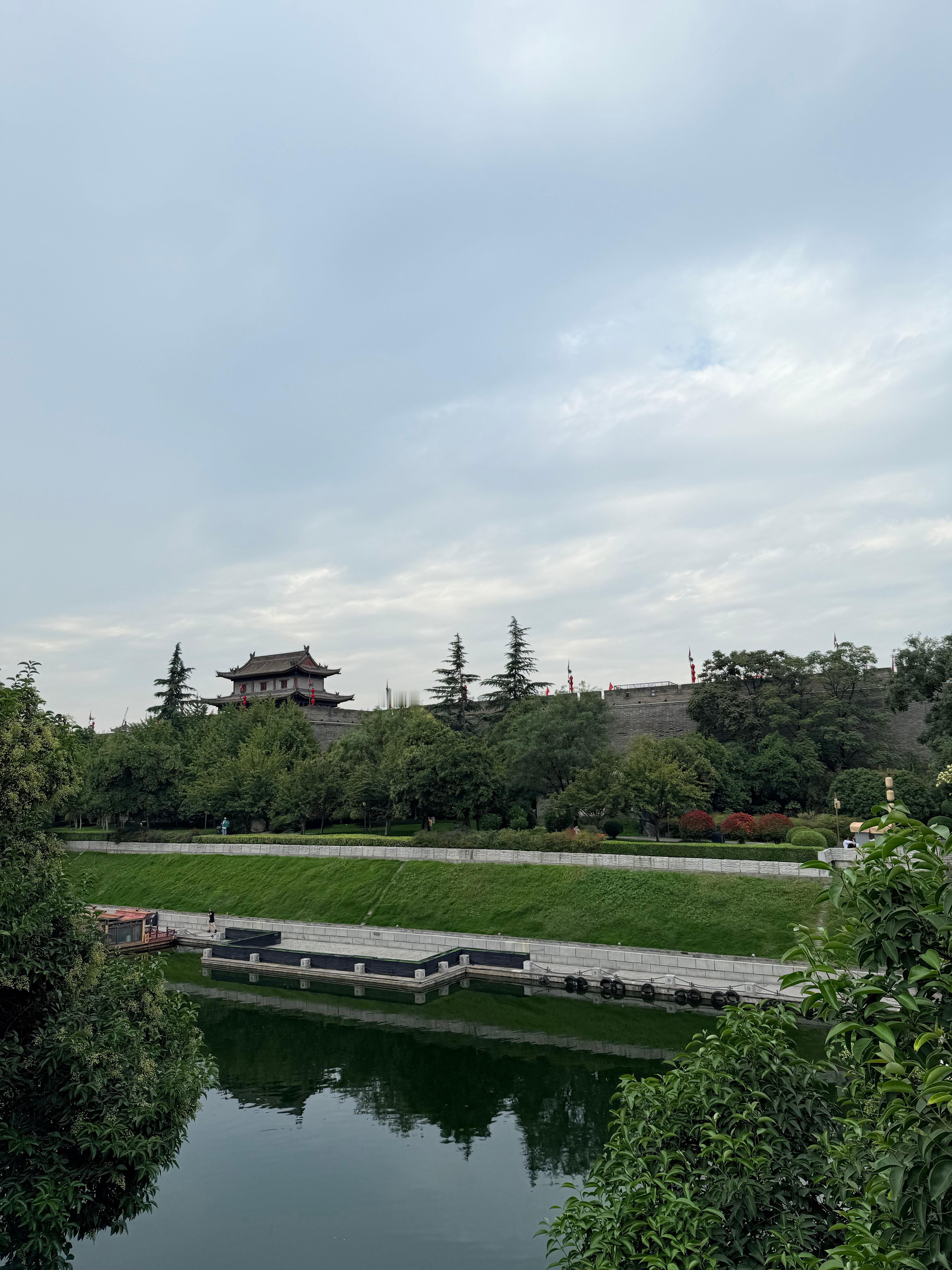 中午好 贝贝们我的日常plog