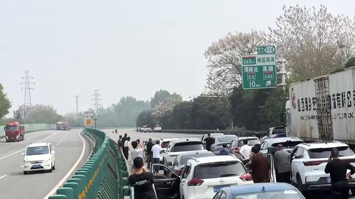 你永远想不到的高速上堵车的原因，竟然是猪跑在了高速上，高速公路工作人员则是费尽脑
