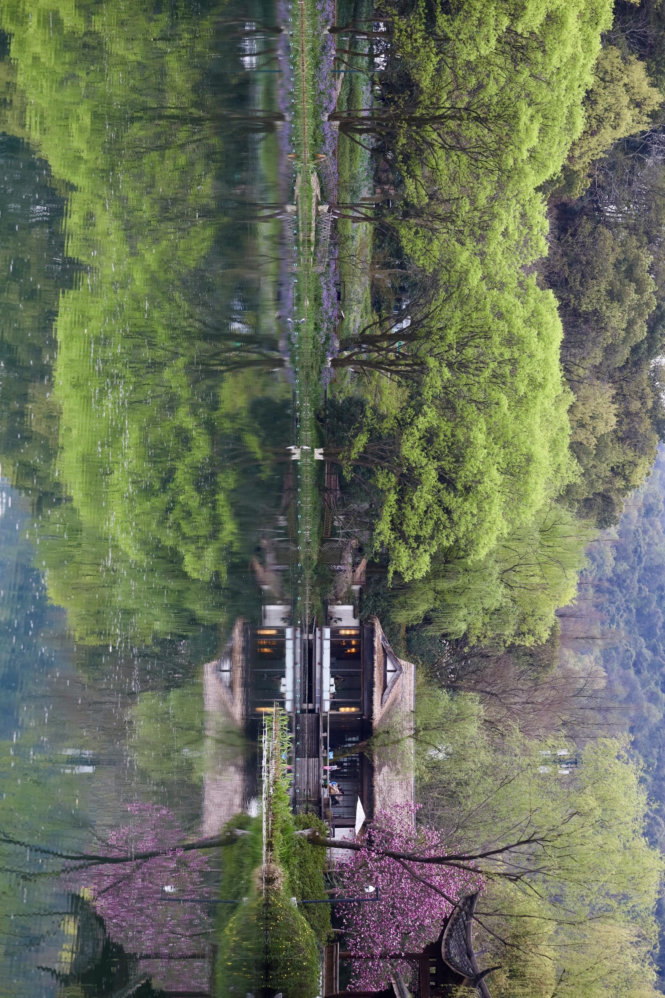 99%杭州攻略都找不到的3个春天秘境！我是猪肝面🐷 杭州土著+拥有导...