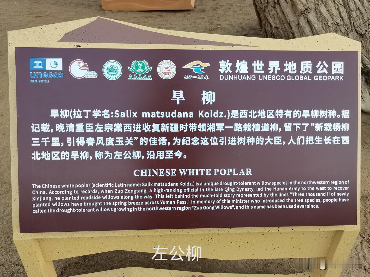 中华民族的功臣
人民用自己的方式记住他们
在敦煌
杏子，叫李广杏
桃子，叫李广桃