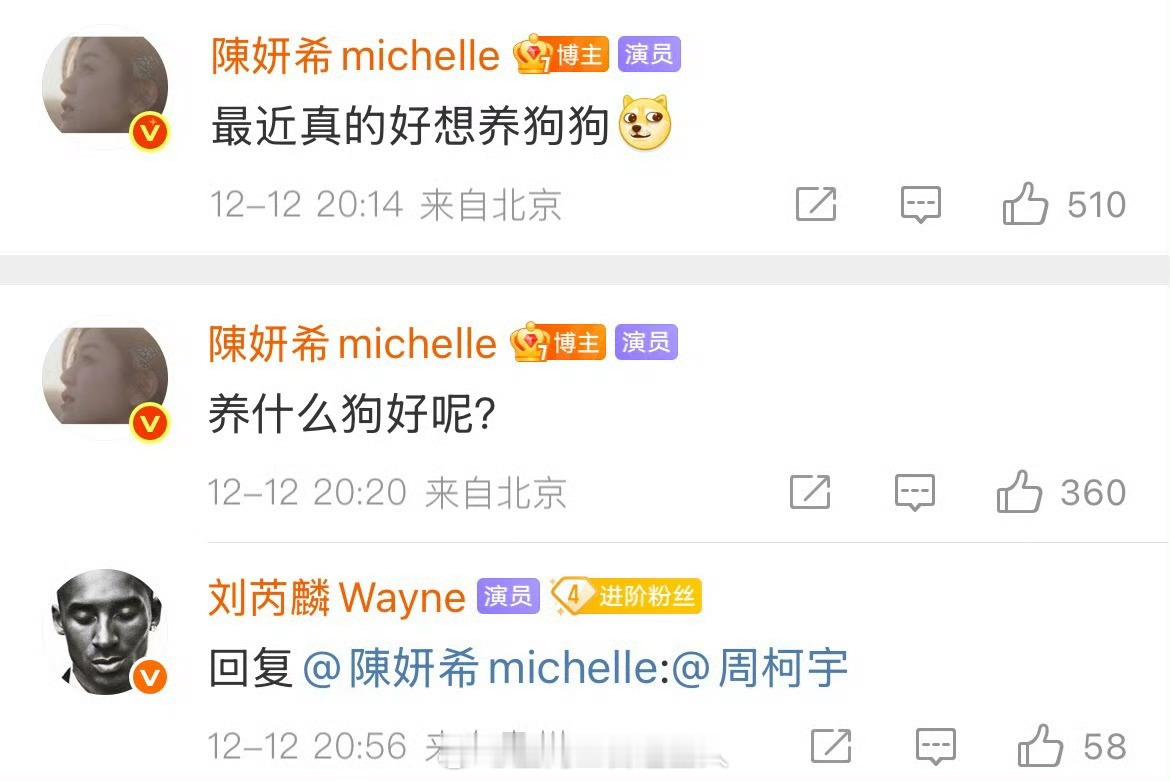 这个刘芮麟演狙击蝴蝶演的不知天地为何物了吧，陈妍希说想养狗不知道养啥好，结果他直