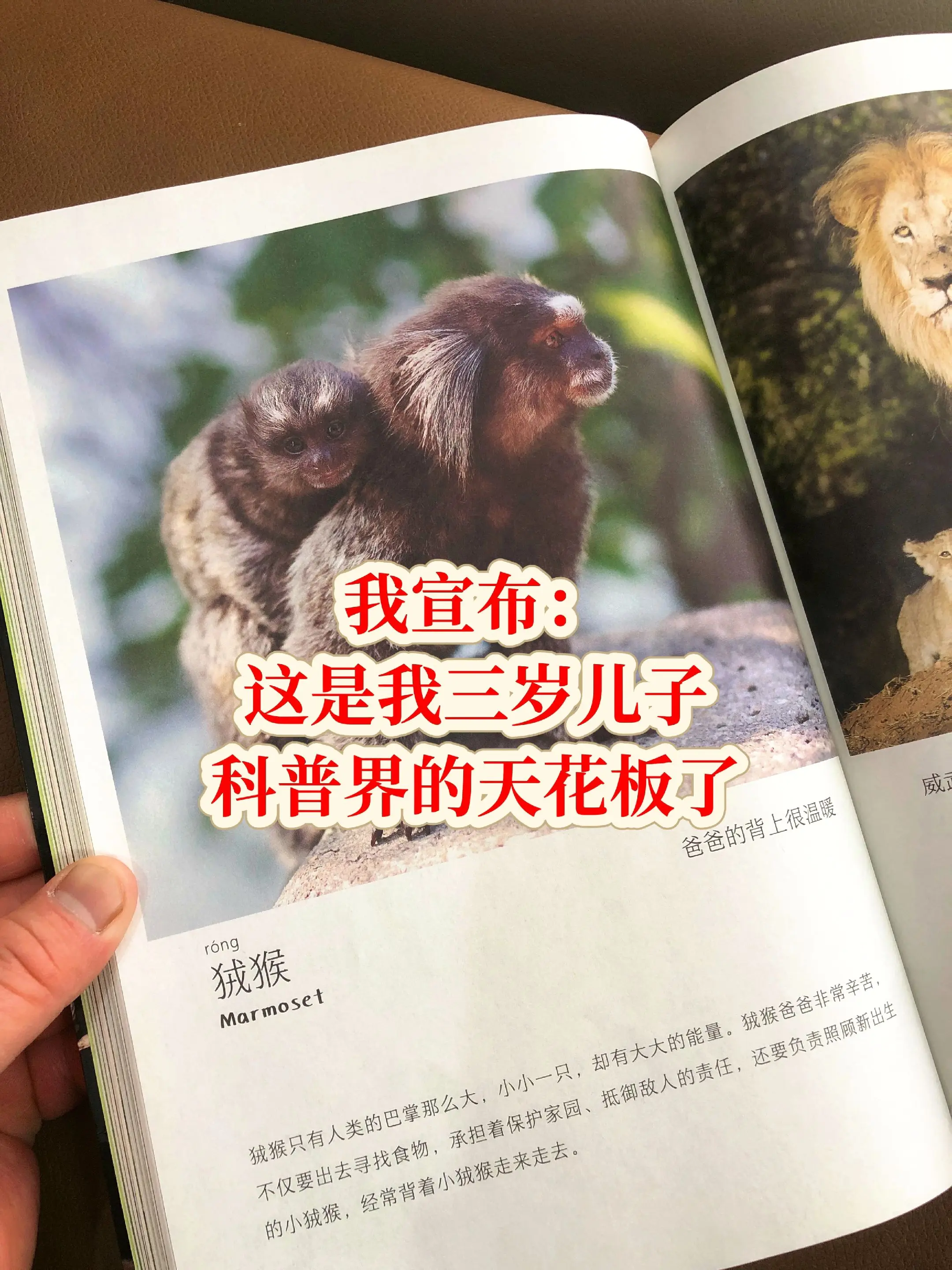 太后悔！才发现这么有趣的科普书📚😭。2岁孩子就能认识200多种动植...