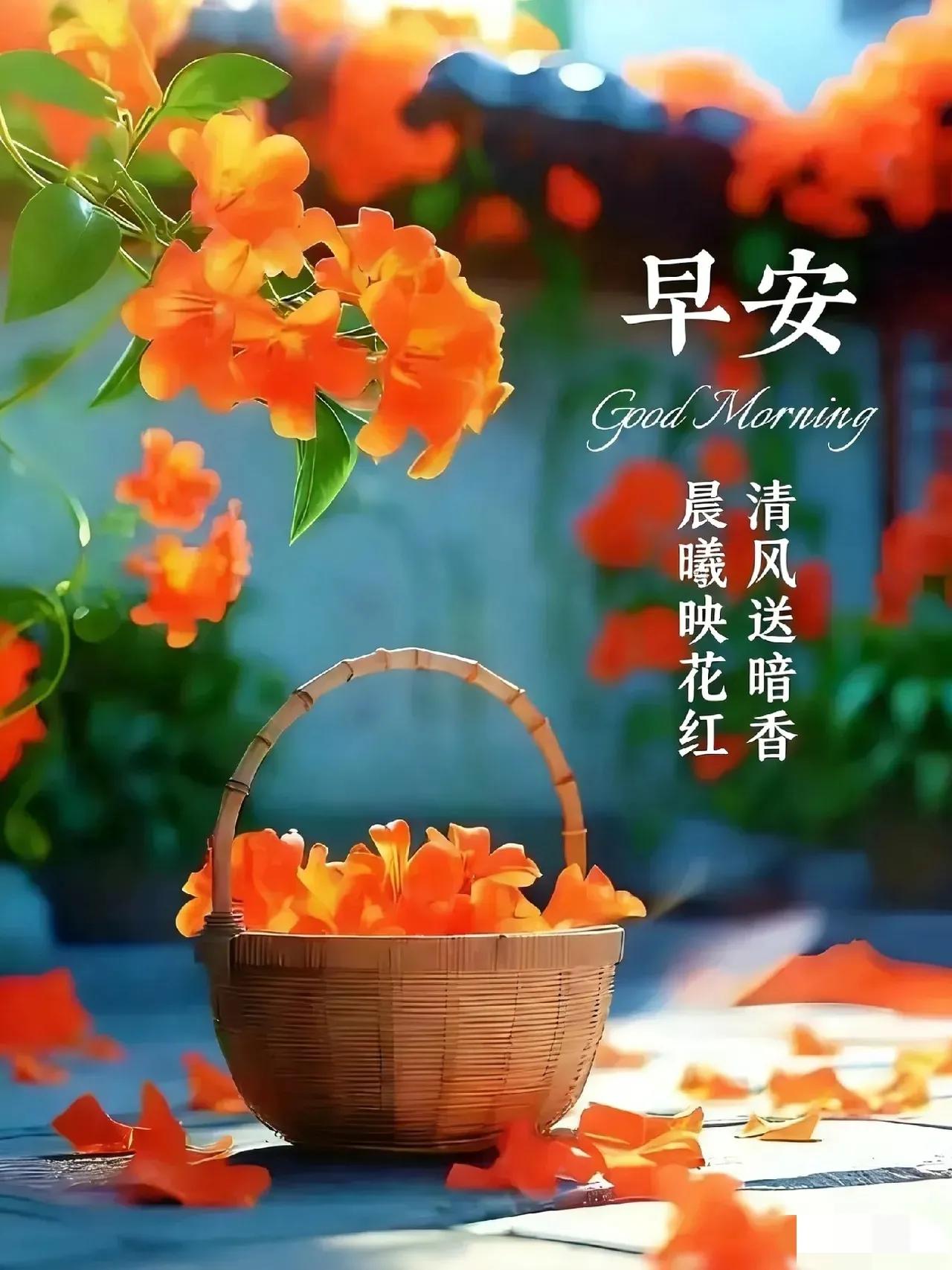 [福]大寒晨安心语[福]太棒了，被晨安心语暖到了[赞]
            