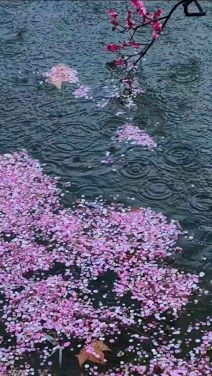 请您对下联
下联：有情芳草伴斜阳
上联“无奈落花向流水”写花落随水、一去不返的惆