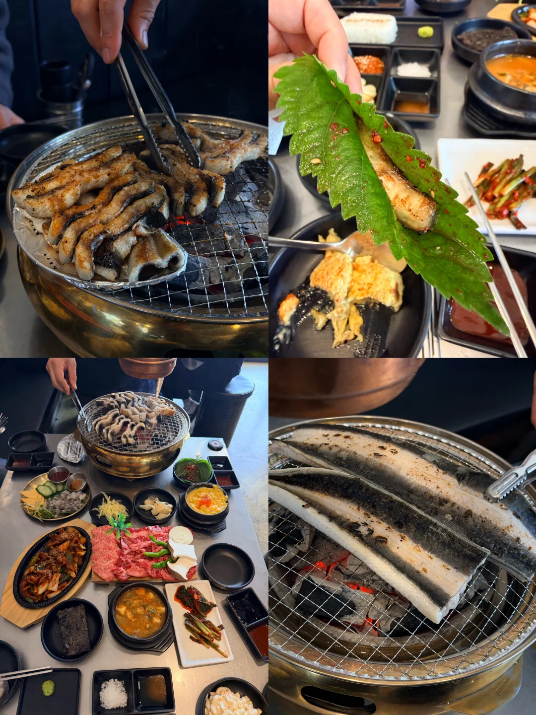 有多少跟我一样，来济州岛看樱花却吃到撑