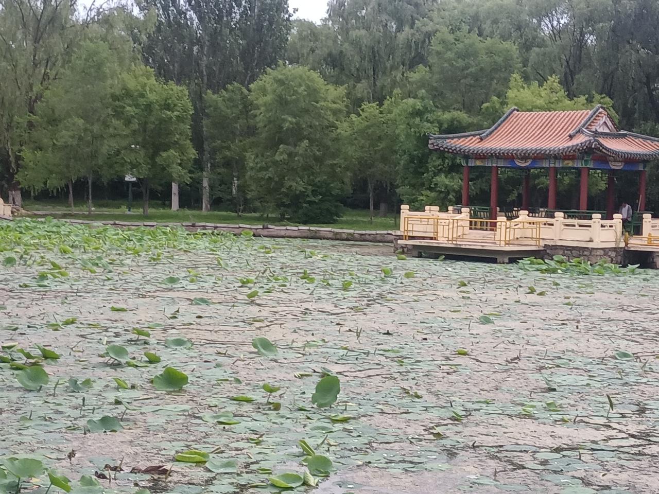 我们花了那么长时间靠近彼此，居然只是为了成为彼此的一个教训吗？原谅那些彻夜长谈的