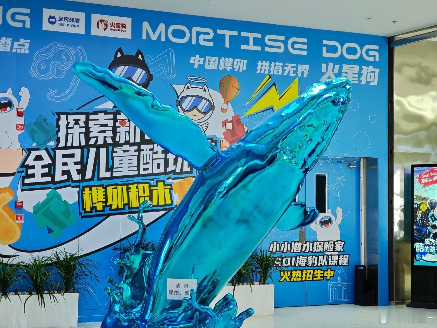 商场里也能潜水了，看了看水还挺深围观的人比潜水的人多