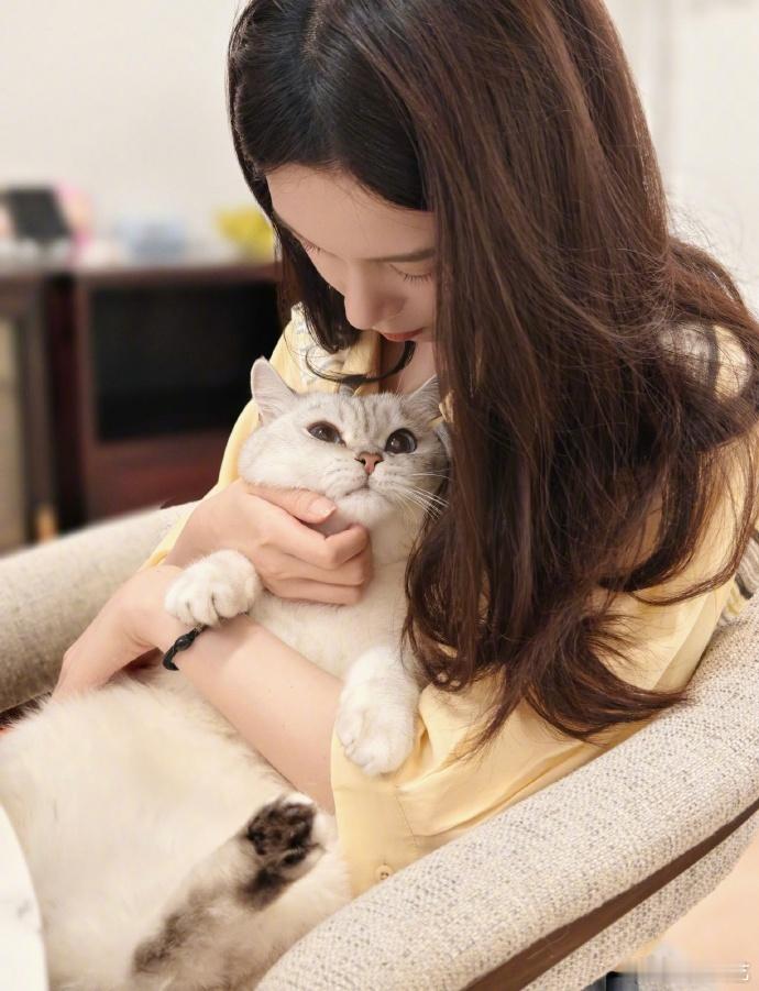陈瑶猫不出仅展示陈瑶晒小猫自拍 小猫自拍好可爱，猫不出仅展示 ​​​