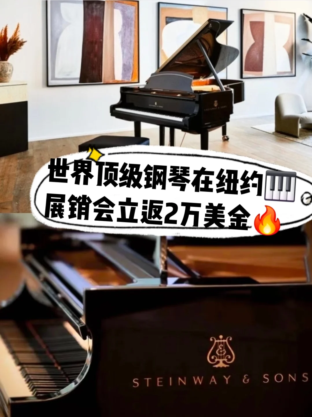 世界顶级钢琴🎹纽约展销会立返💰20000