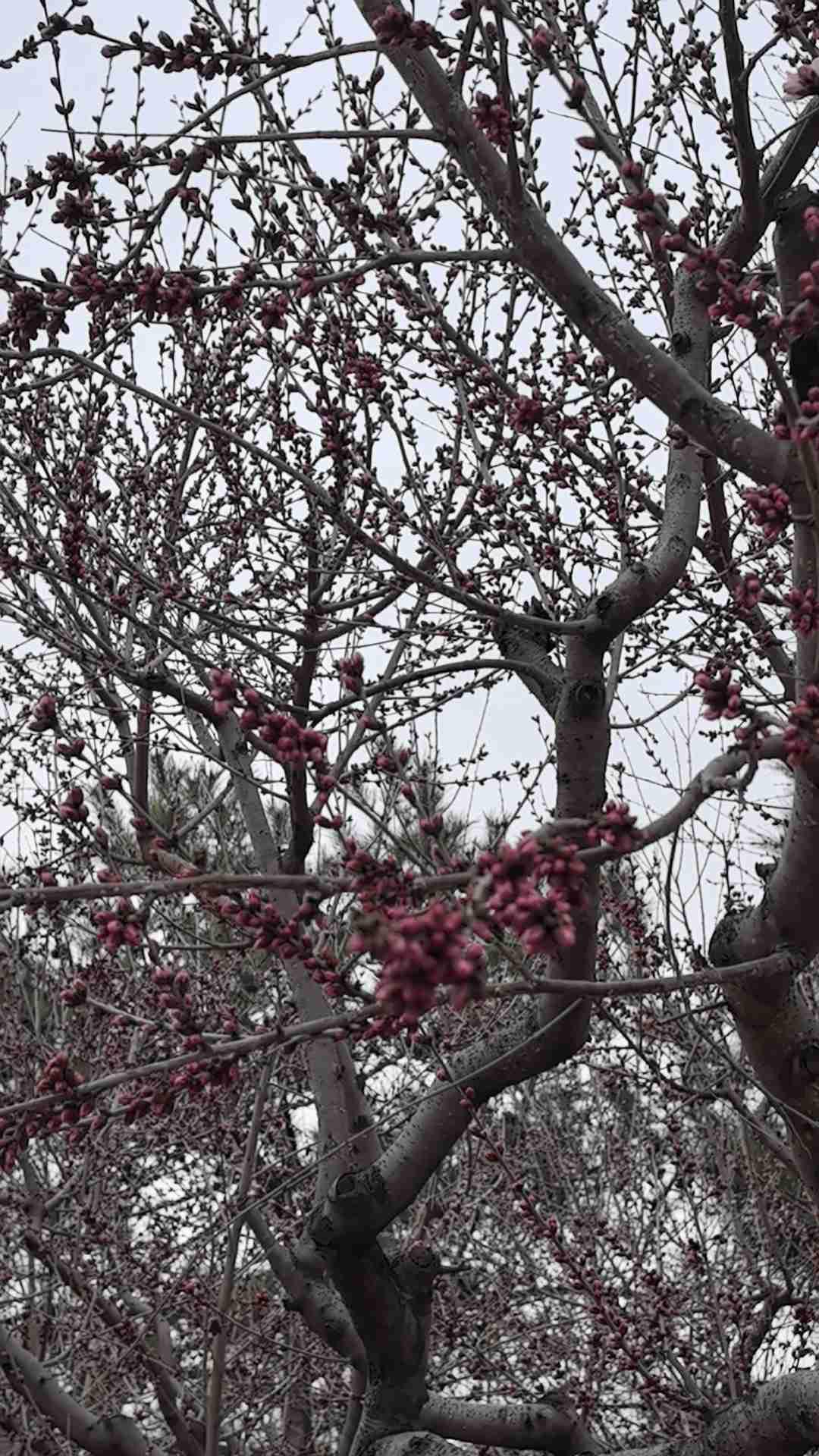 我的今日状态：😁轻松愉快
我这里的天气：☀️晴天