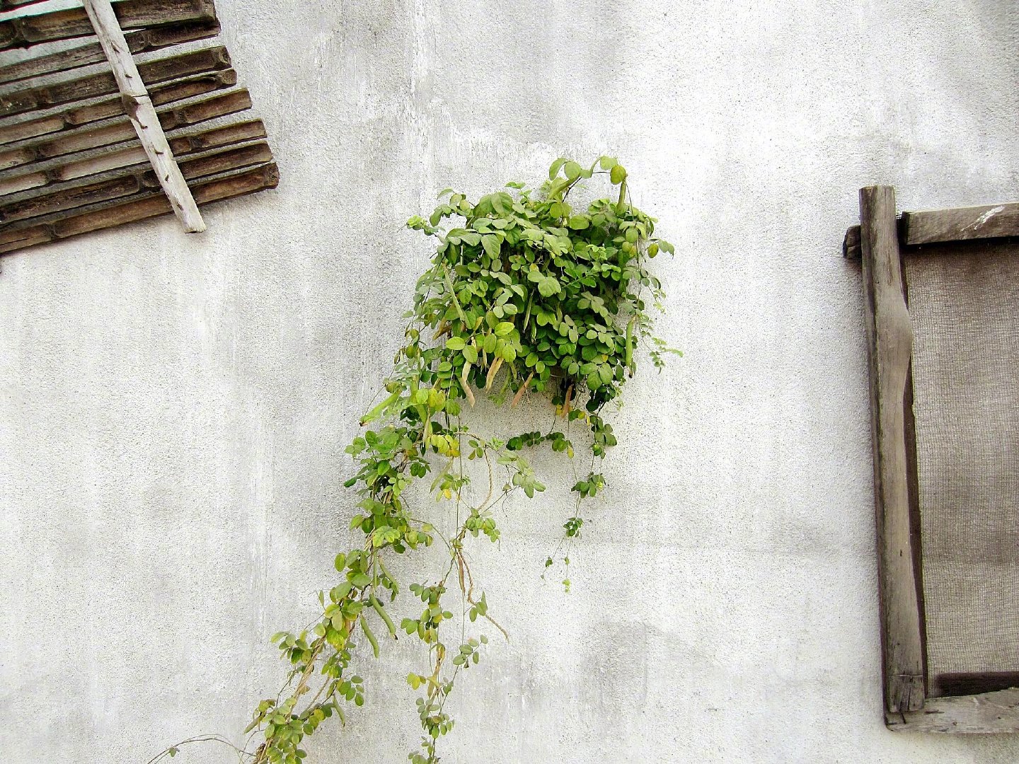 远古的妙音和远方的友情，提醒我过去和现在的意义。——董桥 《从前》 