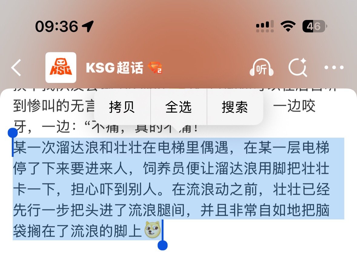 我是壮壮 