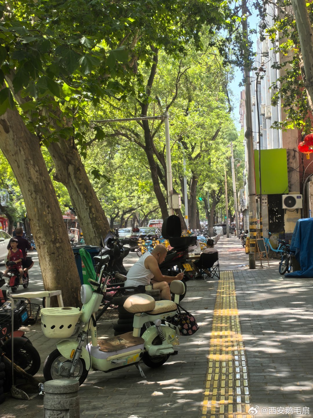 西安旧事 盛夏烈日炙烤着老城区的小街，浓密国槐勉强铺下碎影。西瓜摊的红伞抵挡灼人