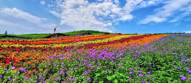 AI妙生图四海花海行。