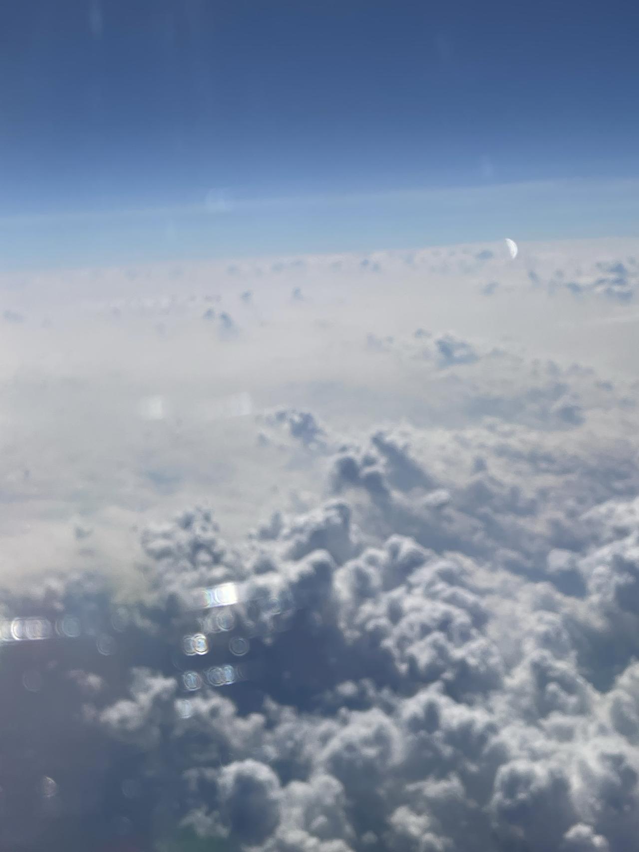 文学创作大会梅花香自苦寒来，冬雪孕育春气暖。没有谁的道路平平坦坦，不经历风雨哪来