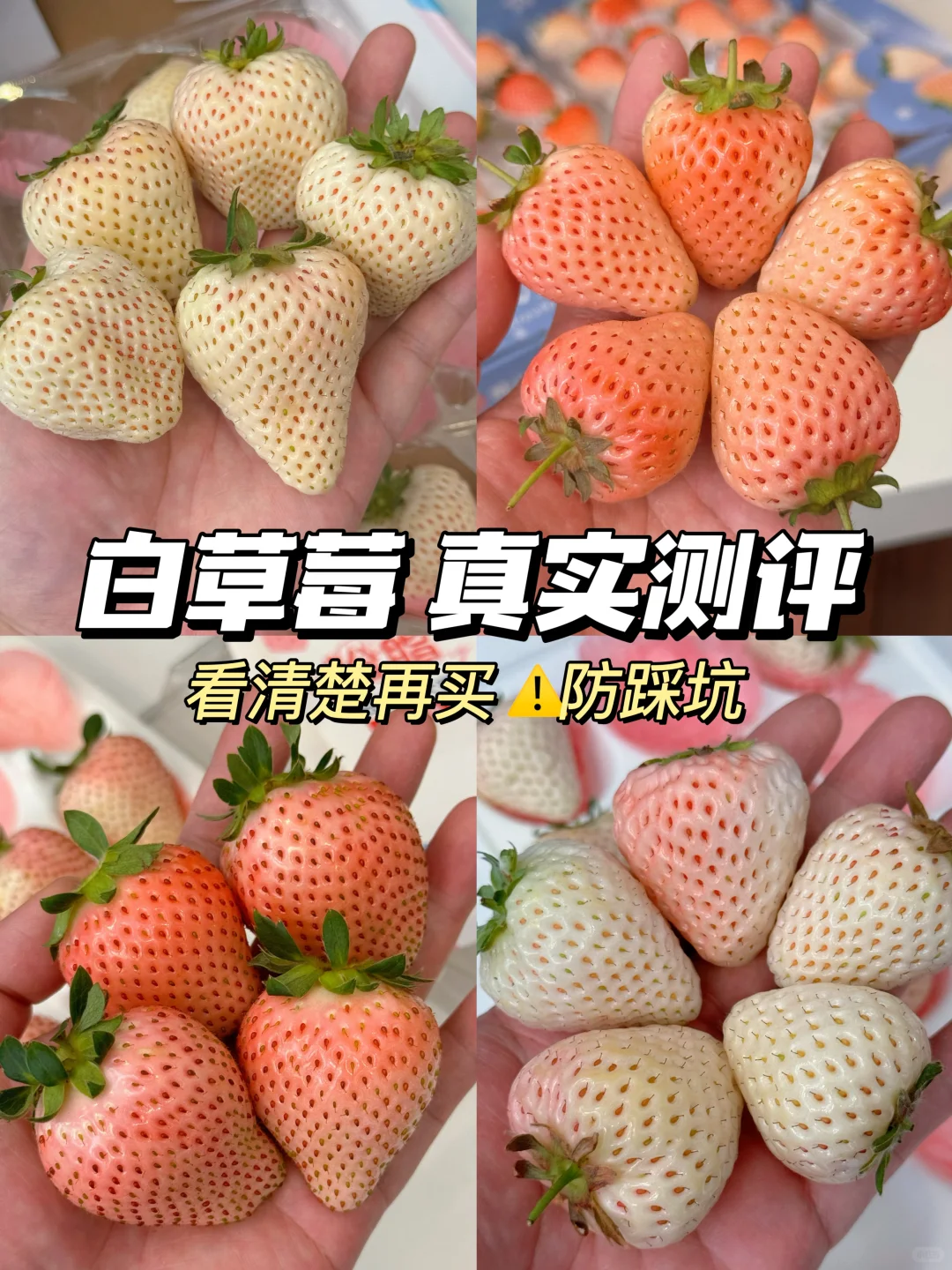 真消费实测防踩坑！白草莓看清楚再买！