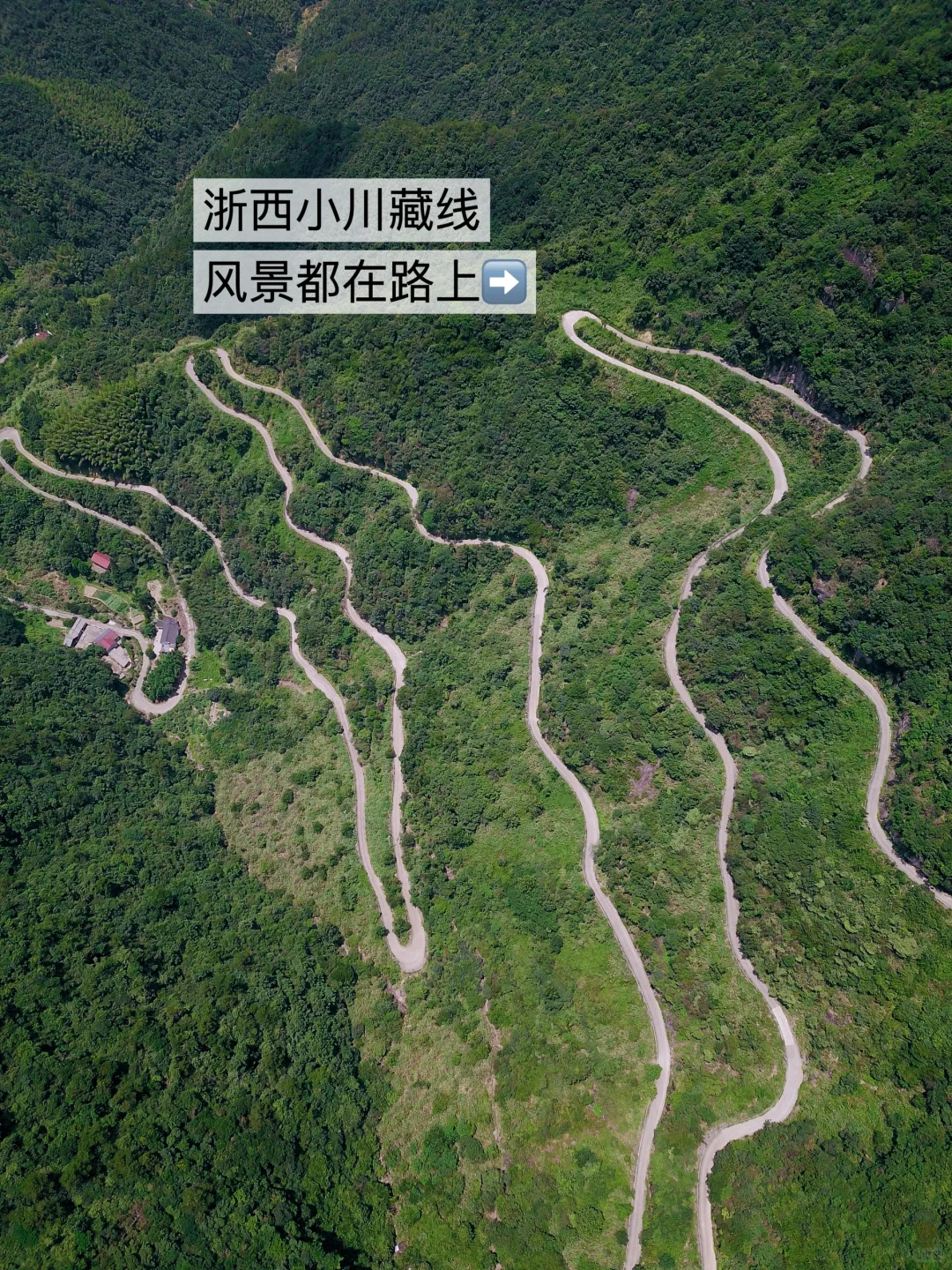 穿越小川藏线🌲只为住进700米高山的森林