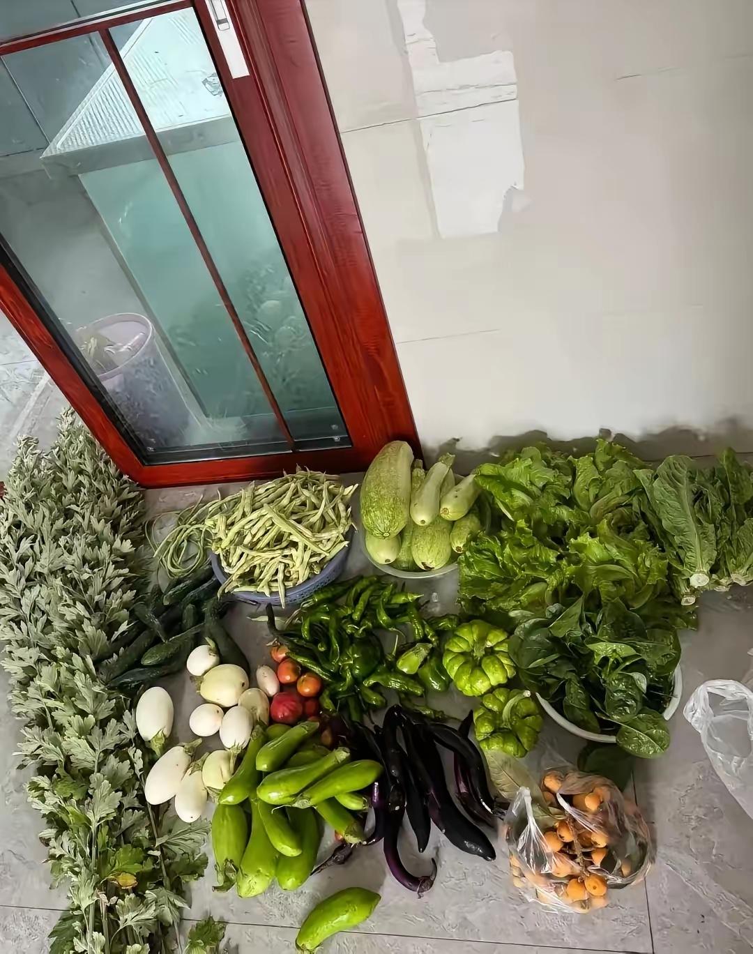 早晨六点，我还在睡，家里门就被敲的咚咚作响。我心想这谁啊，大早晨干啥呢。打开门一