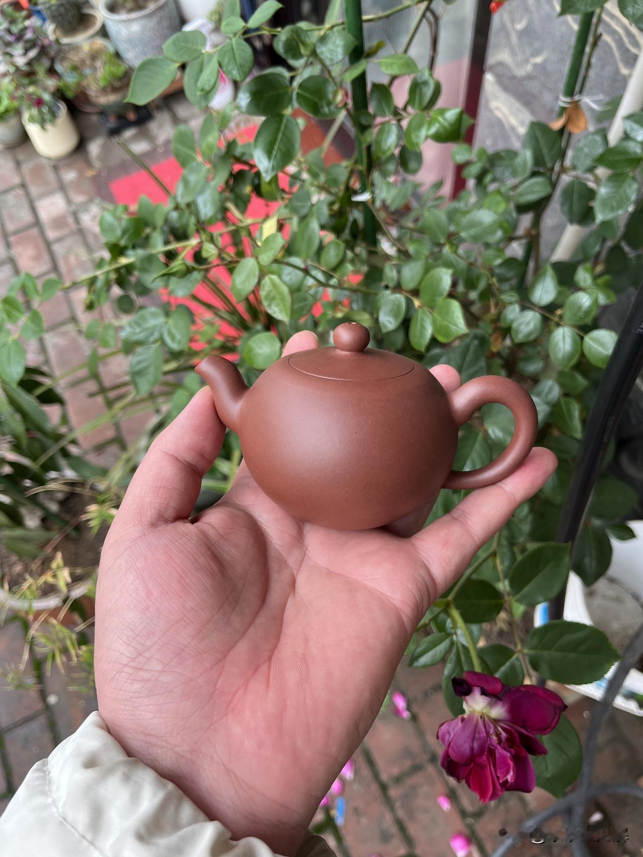 为什么说“一粒珠”最考验艺人的功力？
在紫砂壶的江湖里，方器看线条，筋纹器看规整