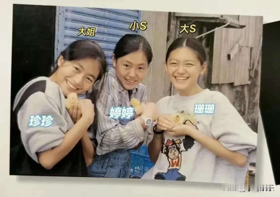 黄春梅三个貌美如花的女儿中，徐熙媛最好看，肉眼可见的事实。三个女儿三个招商银行，