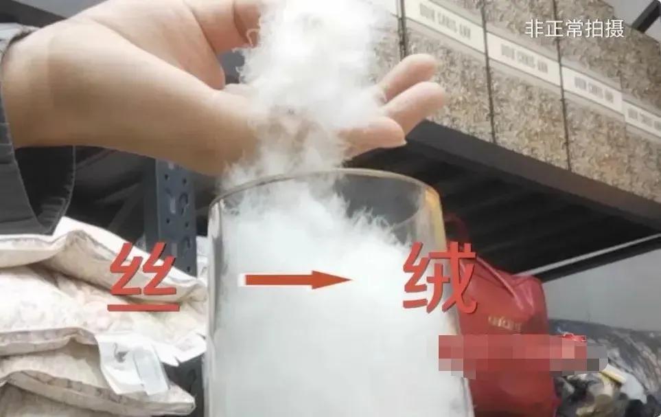 民警用羽绒服遮挡嫌疑人手铐 曝光羽绒乱象，以次充好、以假充真，呼吁加强全链条监管