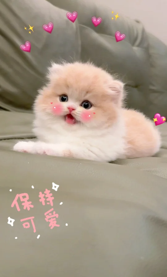 有这样的宝宝在家等～你几点回家呀🥳