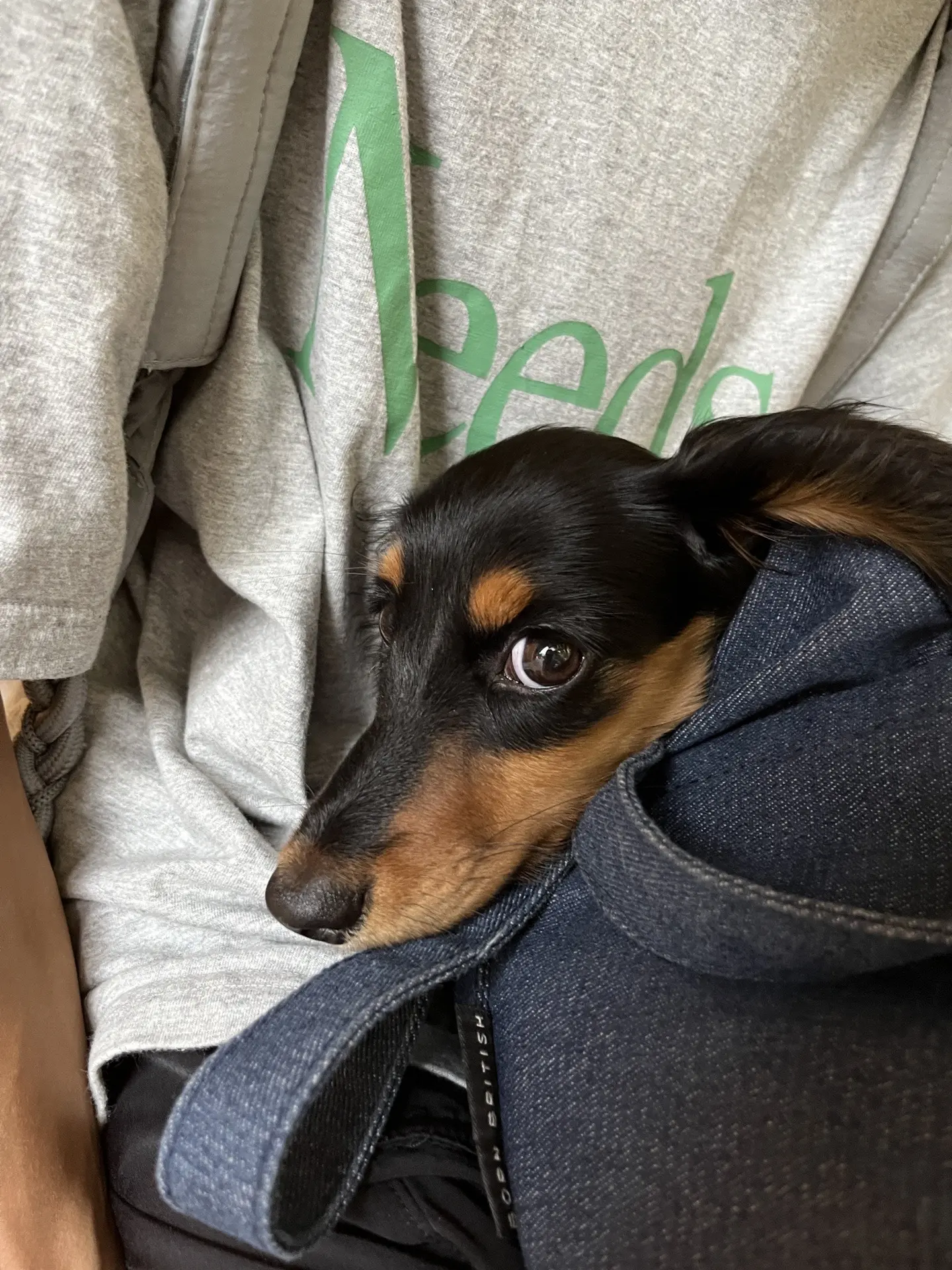 爱小岛爱生活