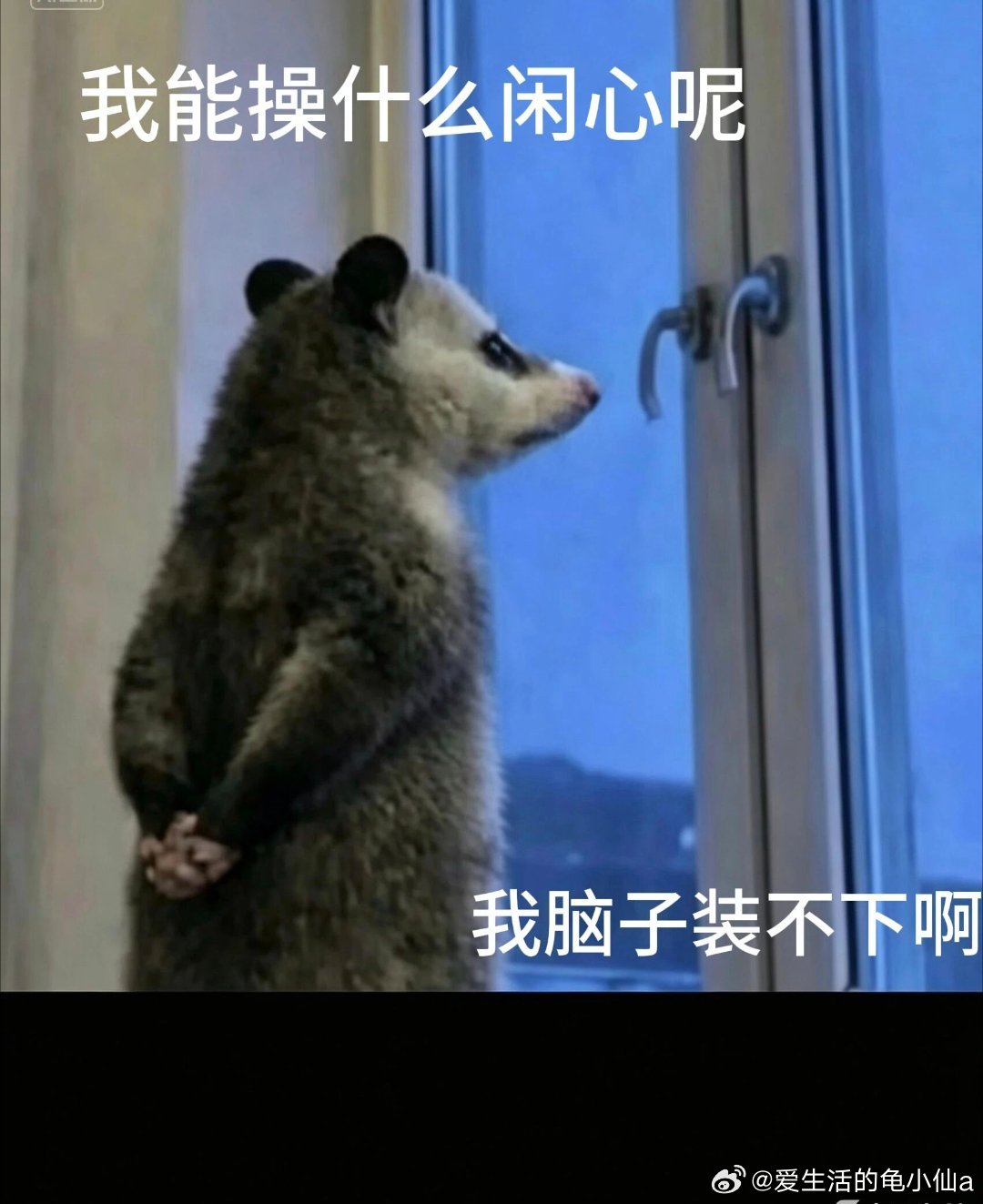 为和新区接轨下个月开始食堂吃饭要掏💰啦于是大家私下有事没事说两嘴👄就现在食堂