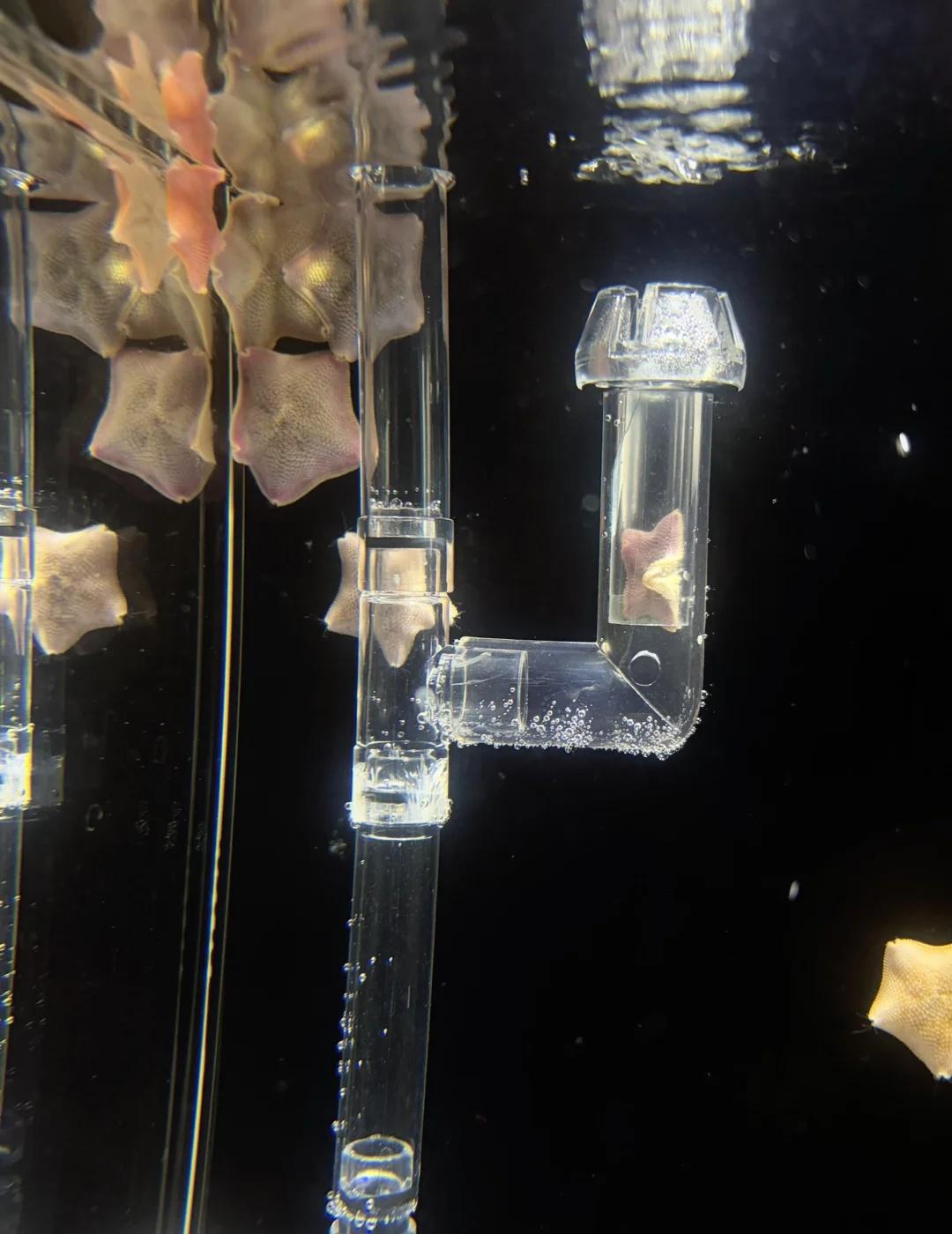 钻进去一天不出来
算了你肯定觉得很无聊