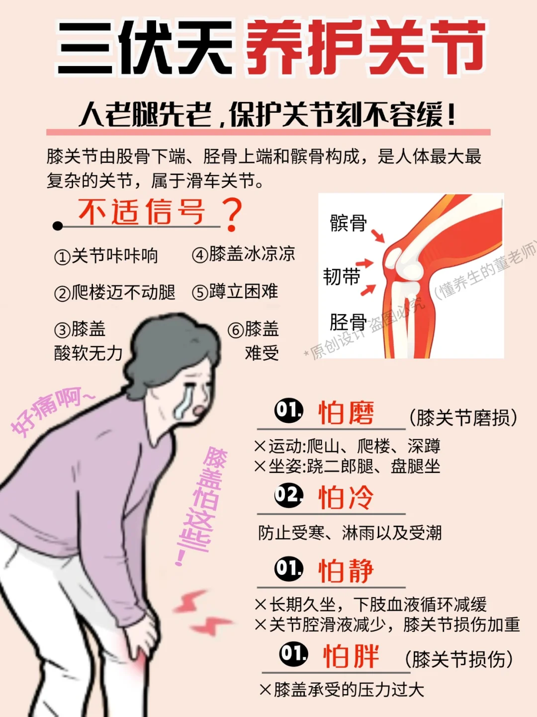 三伏天膝盖养护正当时 🌞 正确保护膝盖GET