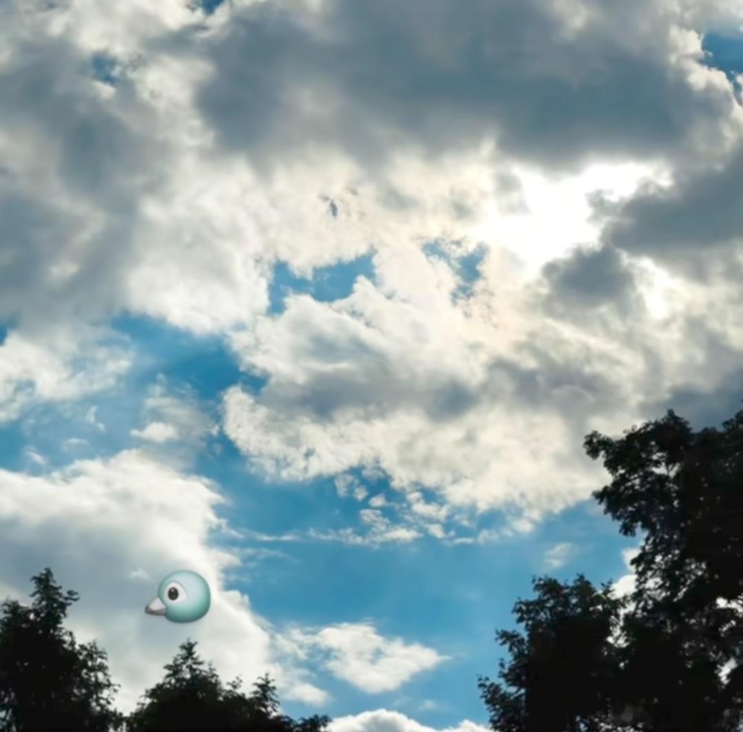 源哥的小日常，还有可爱的小emg