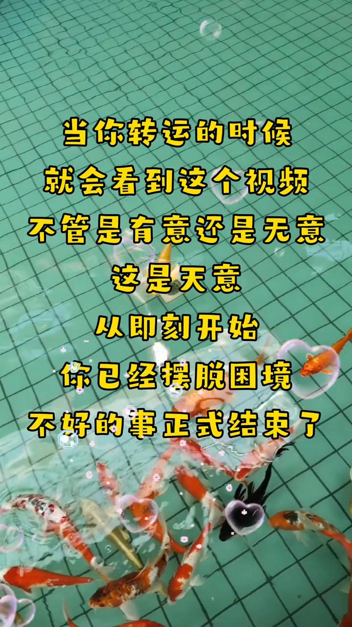 当你转运的时候就会看到这个视频，不管是有意还是无意，这是天意。从即刻开始，你已经