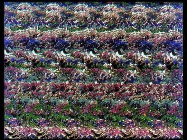 看到牛头者天天发财，看到恐龙天天好运，三维立体图请你欣赏
3D裸眼立体图