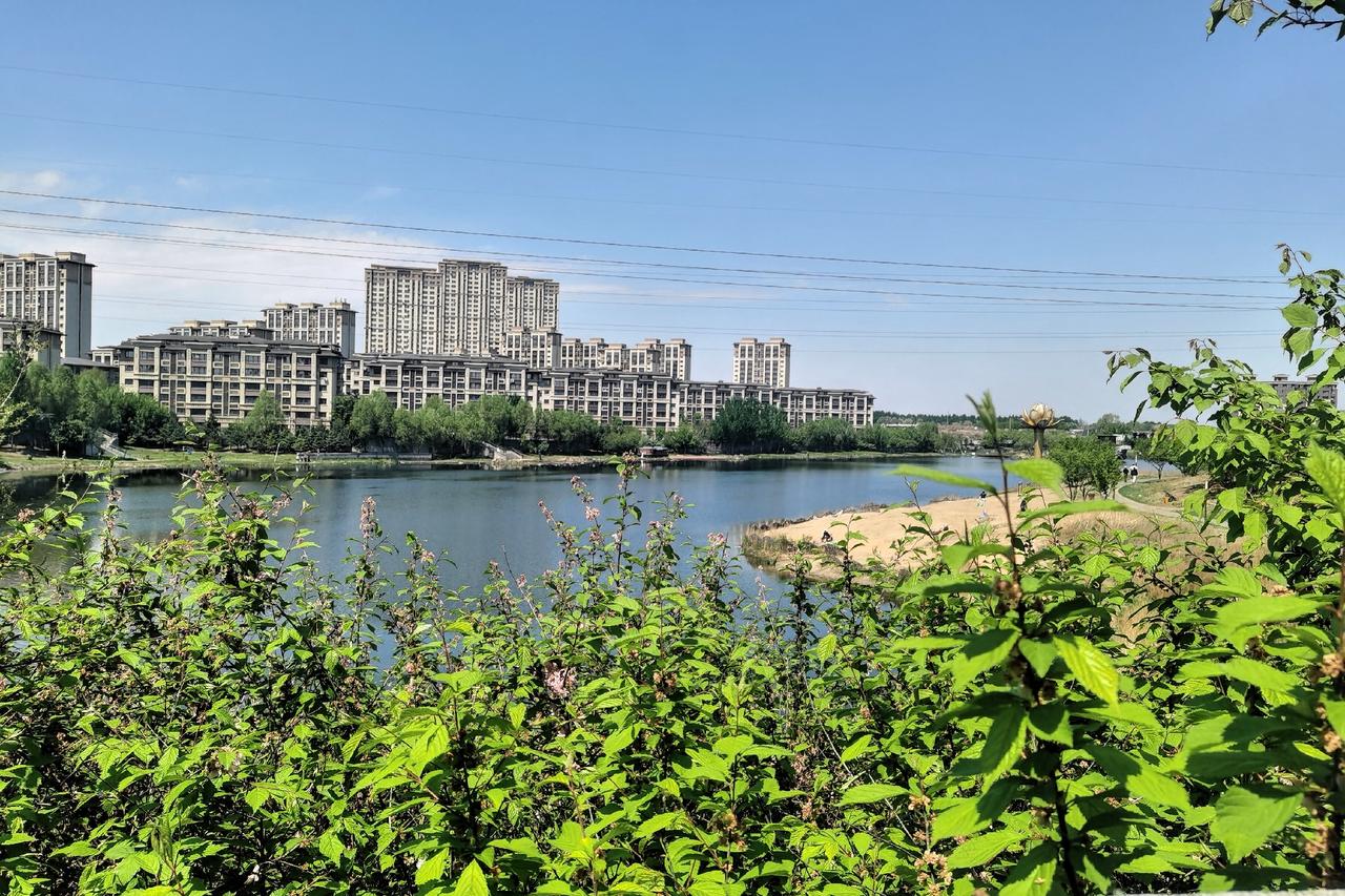 哈尔滨松北区学院路有一个夏季出游的好去处—凤栖湖
这里有垂钓的老者还有年轻人
穿